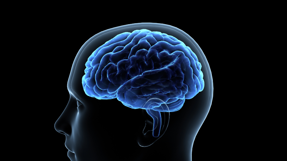 睡眠不足が脳に及ぼす悪影響とは？認知症との関係についても解説のイメージ画像