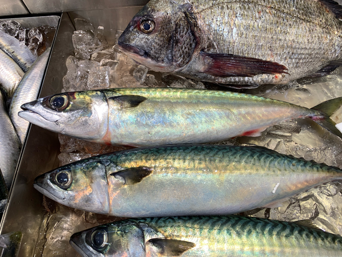 認知症予防に効く食事とは？今日からできる脳に優しい食生活のイメージ画像